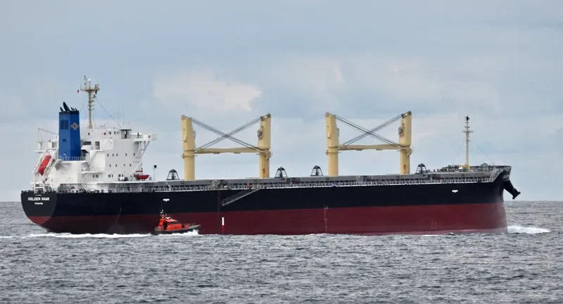 GOLDEN HAWK Bulk Carrier IMO 9745598 photo 10