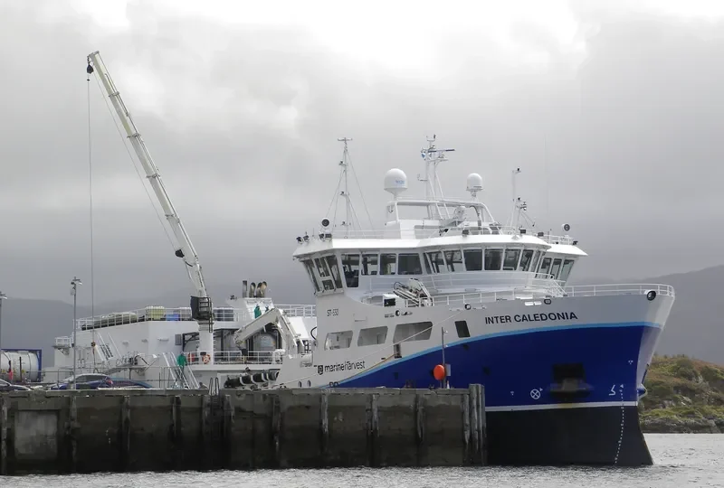 INTER CALEDONIA General Cargo IMO 9745756 photo 3