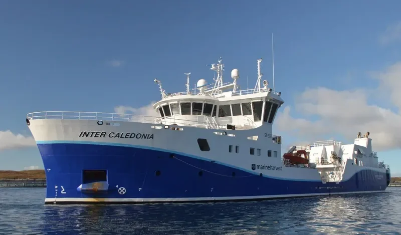 INTER CALEDONIA General Cargo IMO 9745756 photo 4