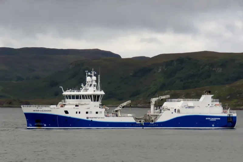 INTER CALEDONIA General Cargo IMO 9745756 photo 5