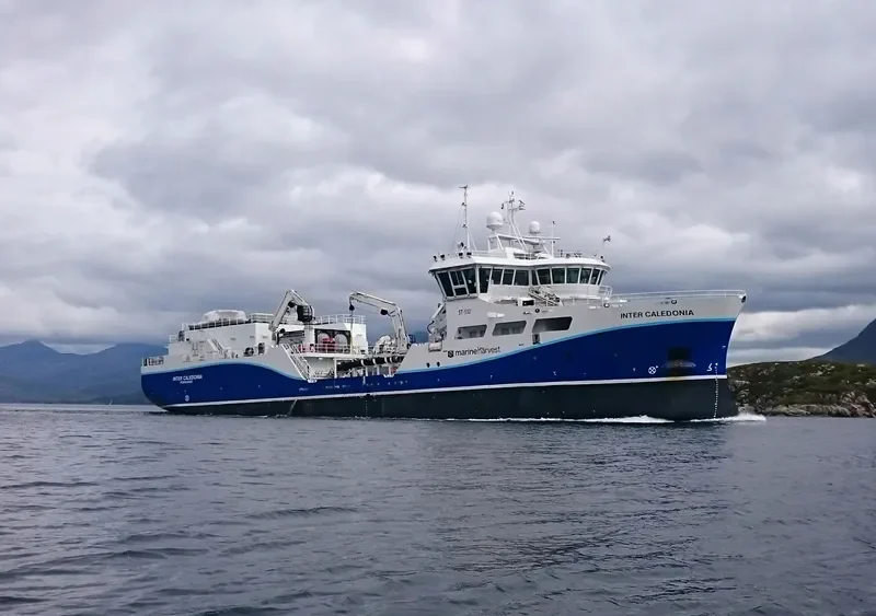 INTER CALEDONIA General Cargo IMO 9745756 photo 6