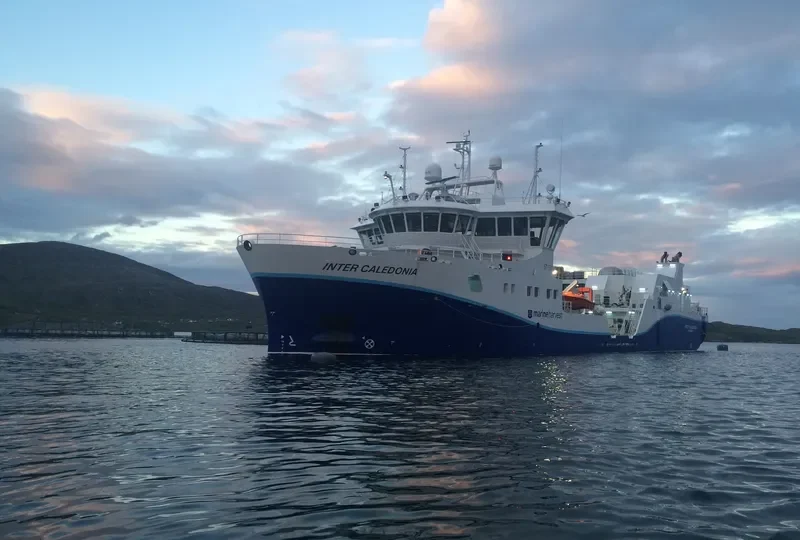 INTER CALEDONIA General Cargo IMO 9745756 photo 7