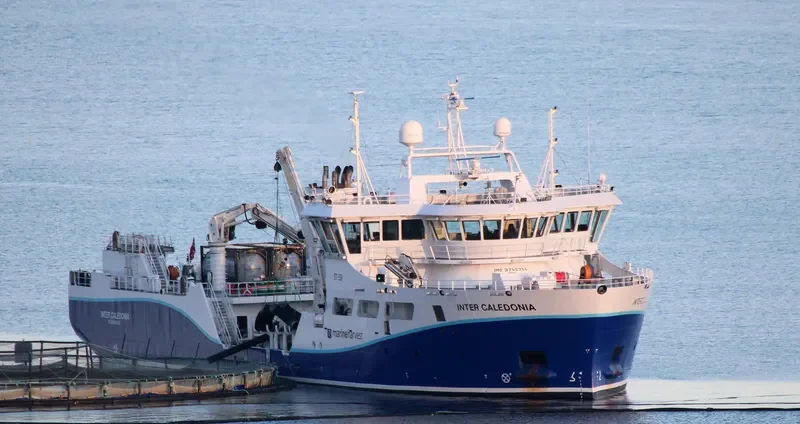 INTER CALEDONIA General Cargo IMO 9745756 photo 8
