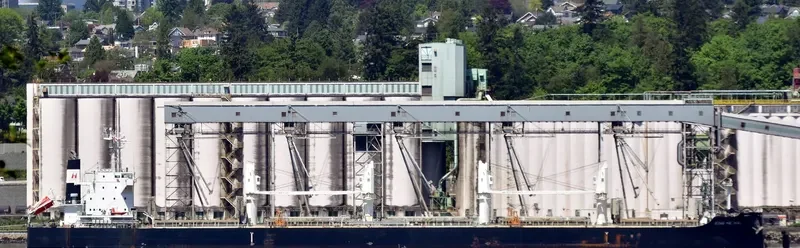 XING HE HAI Bulk Carrier IMO 9746035
