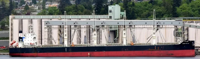 XING HE HAI Bulk Carrier IMO 9746035 photo 2