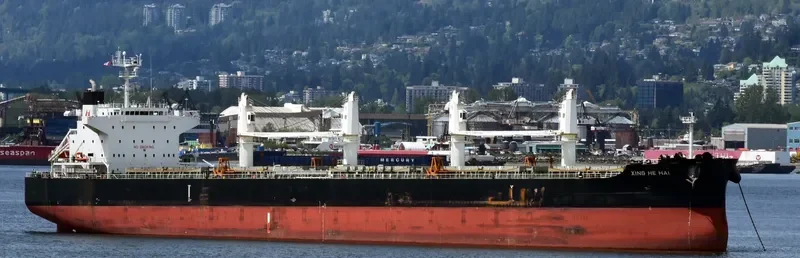 XING HE HAI Bulk Carrier IMO 9746035 photo 4