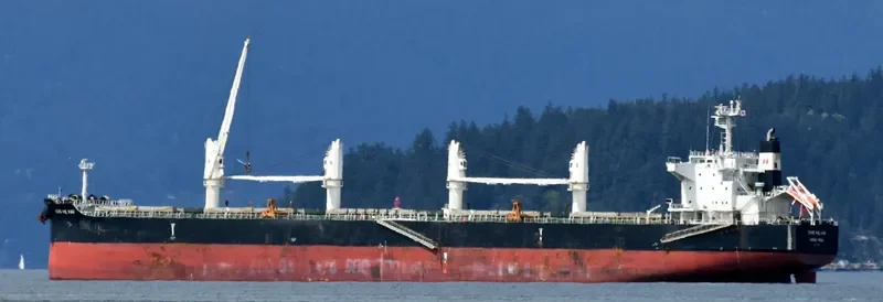 XING HE HAI Bulk Carrier IMO 9746035 photo 5