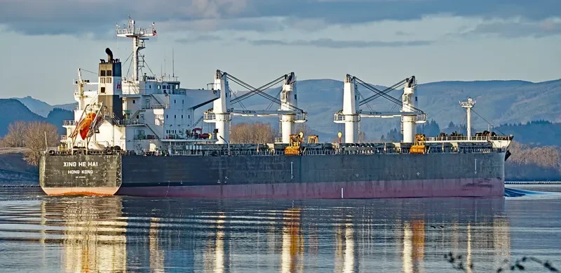 XING HE HAI Bulk Carrier IMO 9746035 photo 6