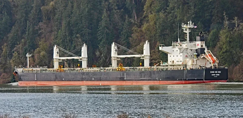 XING HE HAI Bulk Carrier IMO 9746035 photo 7