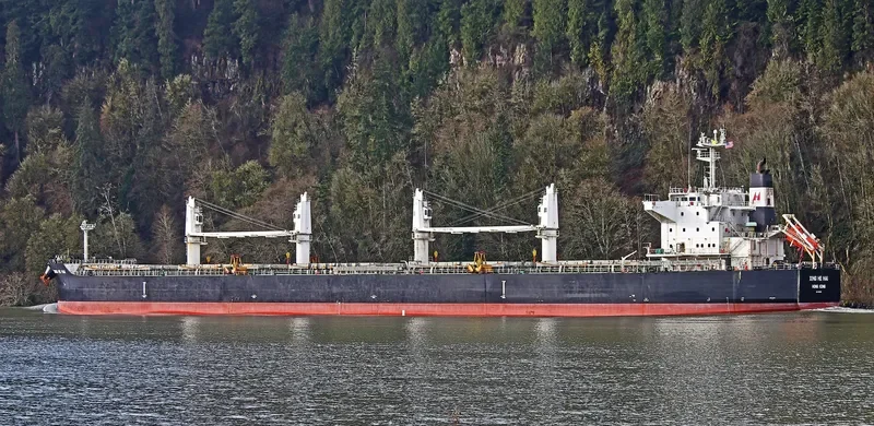 XING HE HAI Bulk Carrier IMO 9746035 photo 8