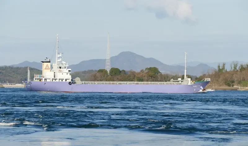 SHINPUKU MARU NO.23 General Cargo IMO 9746322 photo 2