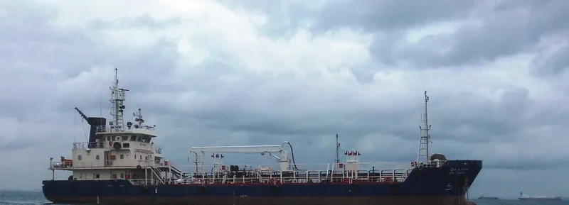 DAVINA Tanker IMO 9746499 photo 2