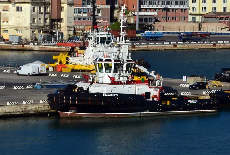 ELISABETTA General Cargo IMO 9747015