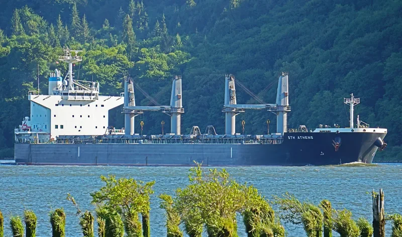 STH ATHENS Bulk Carrier IMO 9747390 photo 4