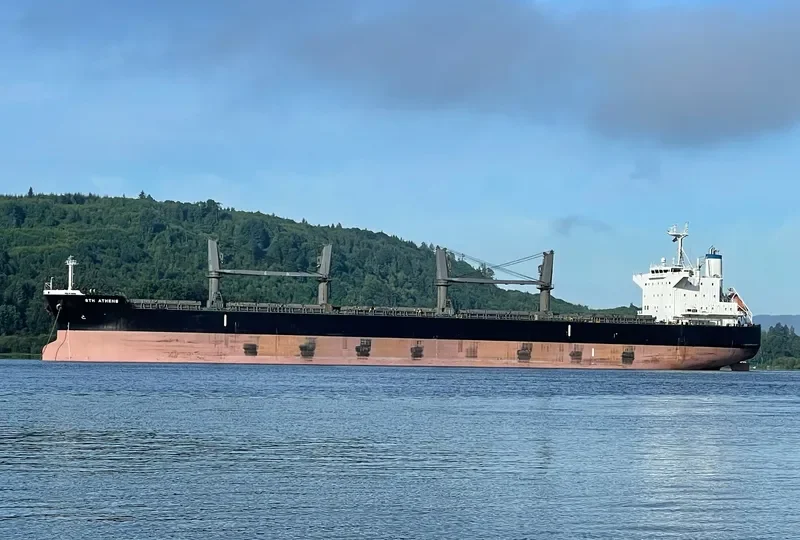 STH ATHENS Bulk Carrier IMO 9747390 photo 11