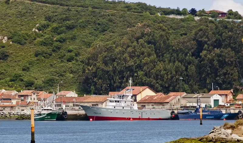GARBOLA General Cargo IMO 9747560