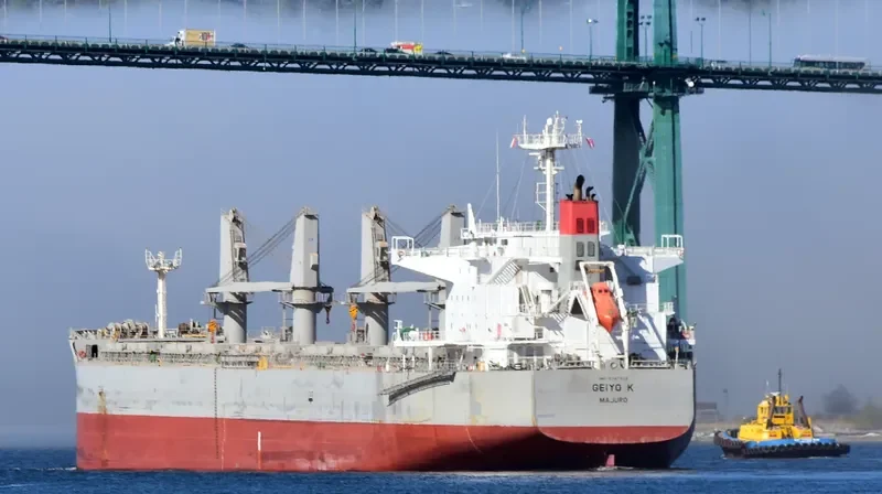 GEIYO K Bulk Carrier IMO 9747613 photo 2