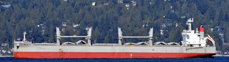 GEIYO K Bulk Carrier IMO 9747613 photo 5