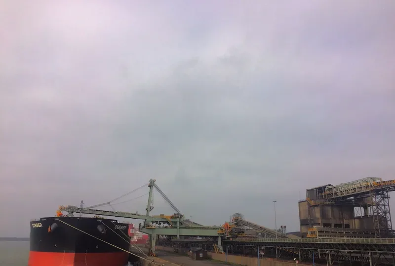 TRUE CORSAIR Bulk Carrier IMO 9747869 photo 2
