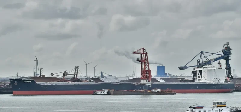 TRUE CORSAIR Bulk Carrier IMO 9747869 photo 4