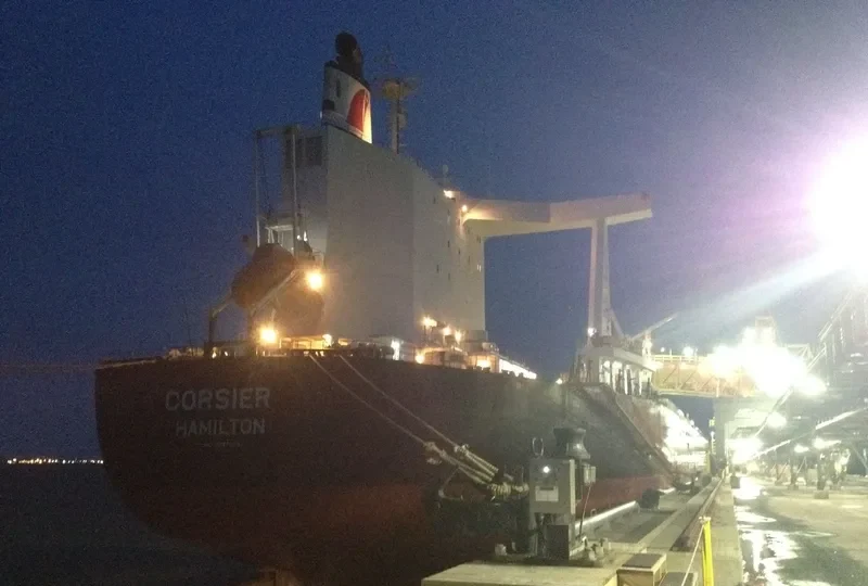 TRUE CORSAIR Bulk Carrier IMO 9747869 photo 5