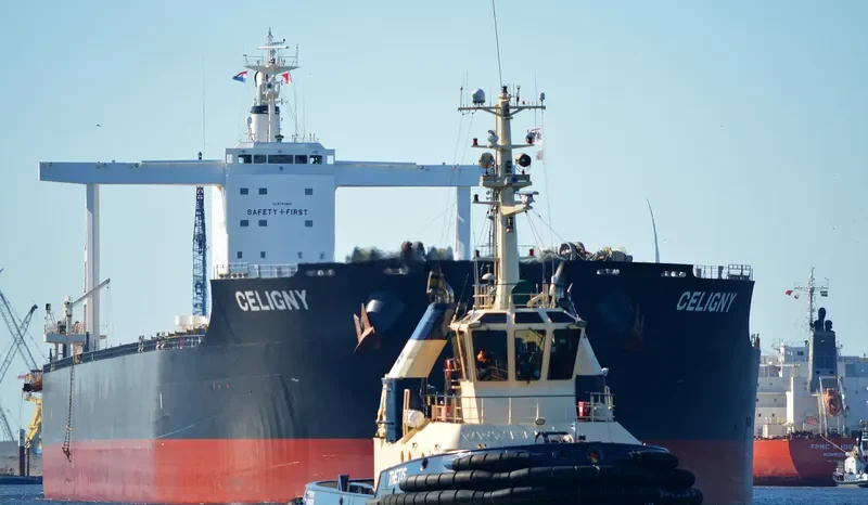 TRUE CAPTAIN Bulk Carrier IMO 9747883