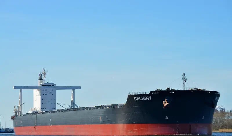 TRUE CAPTAIN Bulk Carrier IMO 9747883 photo 2