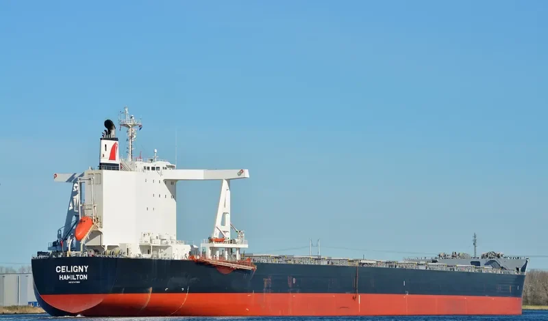 TRUE CAPTAIN Bulk Carrier IMO 9747883 photo 3