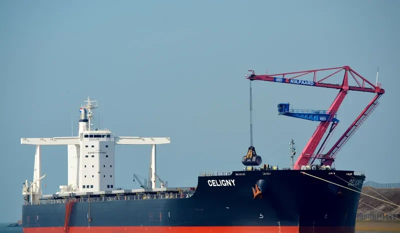 TRUE CAPTAIN Bulk Carrier IMO 9747883 photo 4