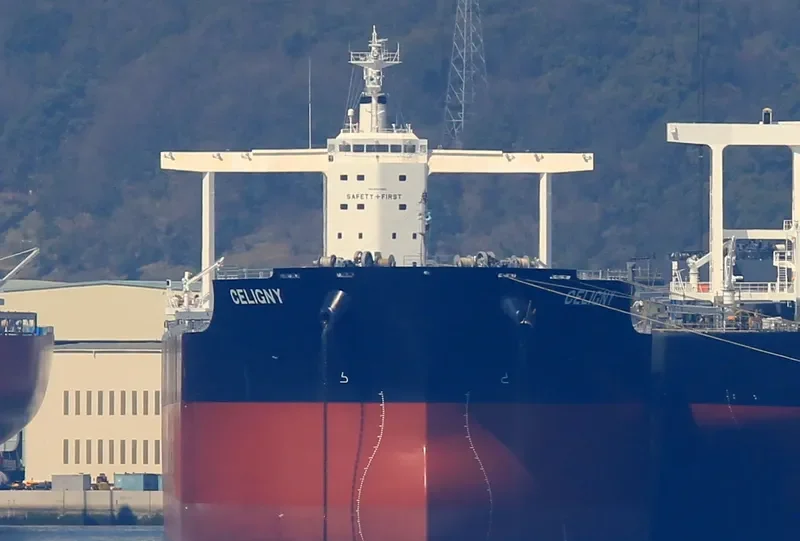 TRUE CAPTAIN Bulk Carrier IMO 9747883 photo 5