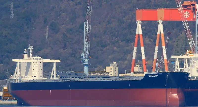 TRUE CAPTAIN Bulk Carrier IMO 9747883 photo 7