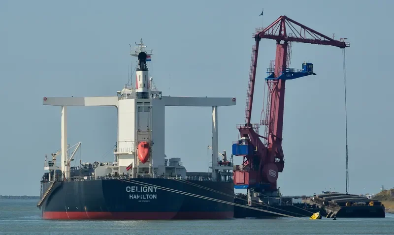 TRUE CAPTAIN Bulk Carrier IMO 9747883 photo 8