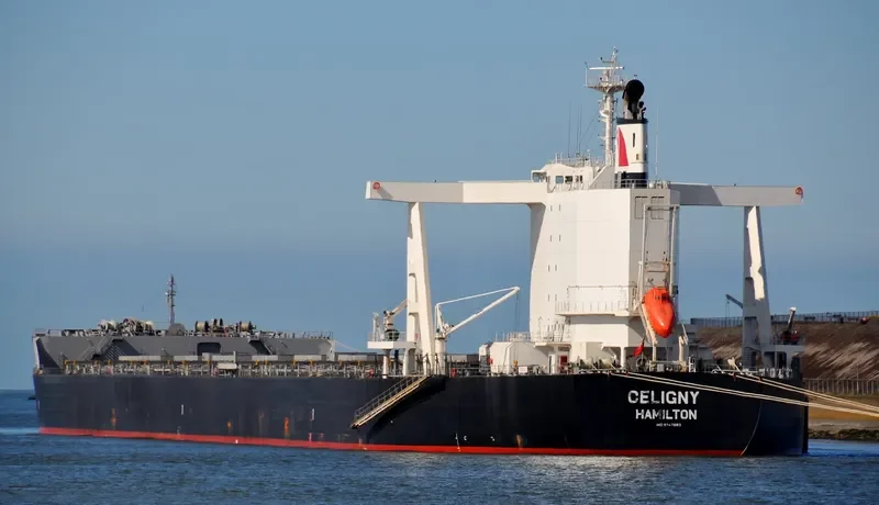 TRUE CAPTAIN Bulk Carrier IMO 9747883 photo 9