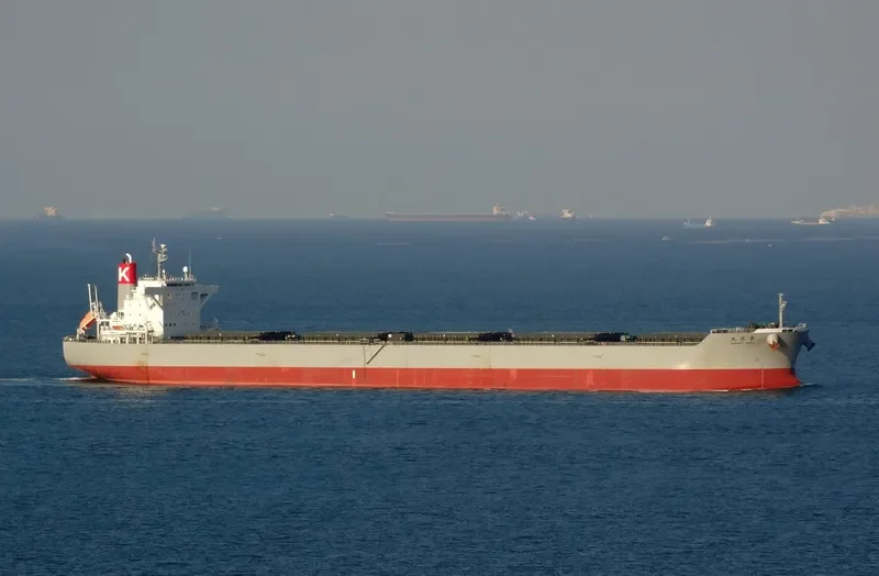 CORONA UTILITY Bulk Carrier IMO 9748021