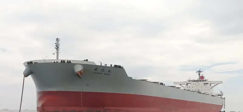 CORONA UTILITY Bulk Carrier IMO 9748021 photo 2