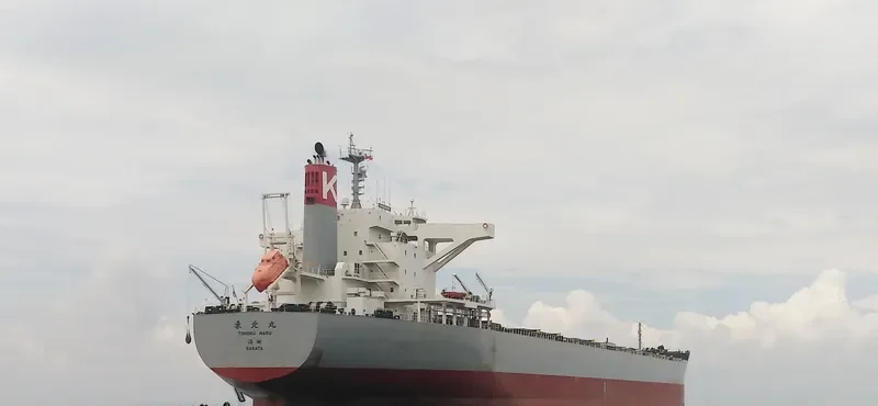 CORONA UTILITY Bulk Carrier IMO 9748021 photo 3