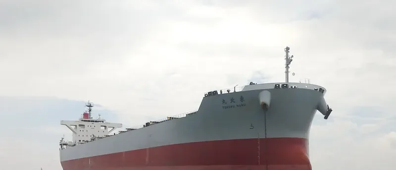CORONA UTILITY Bulk Carrier IMO 9748021 photo 4