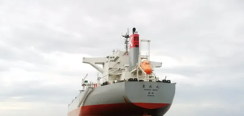 CORONA UTILITY Bulk Carrier IMO 9748021 photo 5