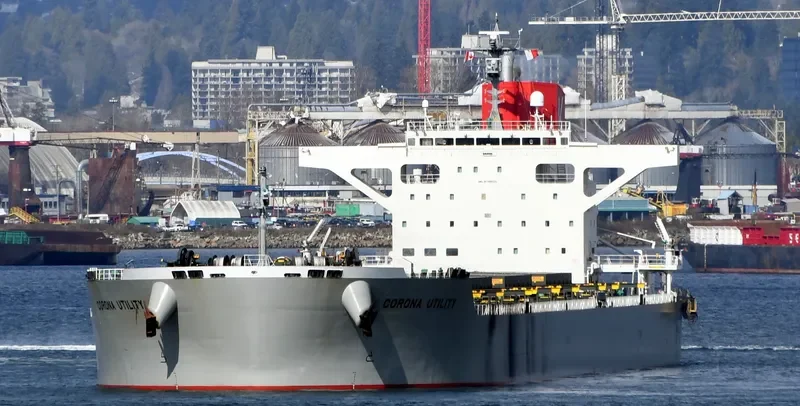 CORONA UTILITY Bulk Carrier IMO 9748021 photo 8