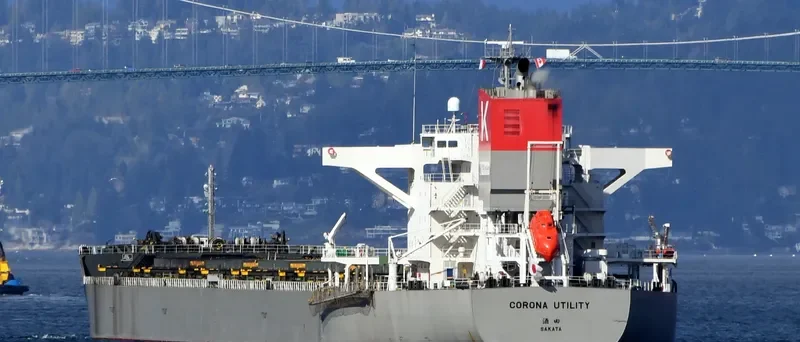CORONA UTILITY Bulk Carrier IMO 9748021 photo 9