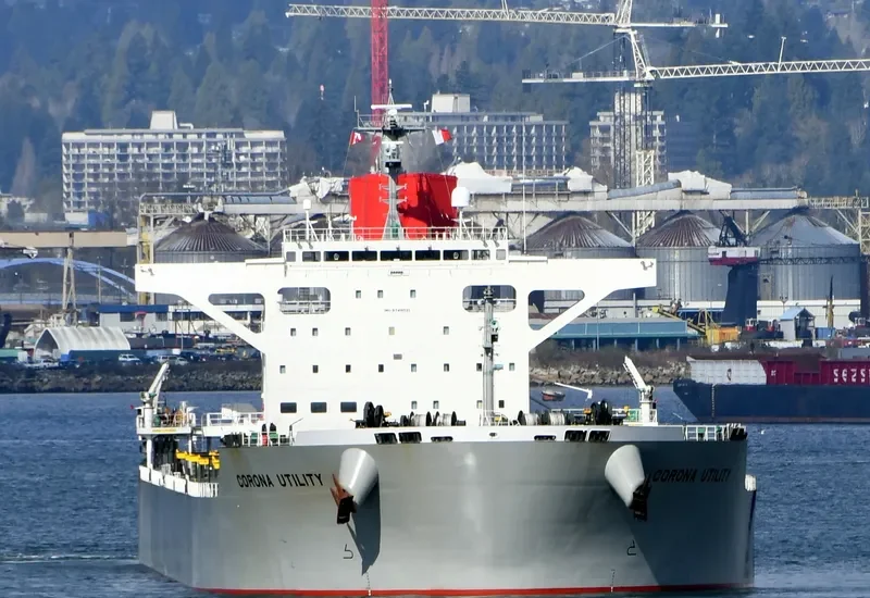 CORONA UTILITY Bulk Carrier IMO 9748021 photo 10