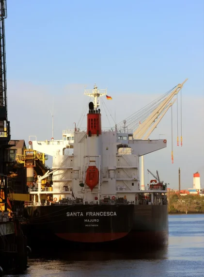 SANTA FRANCESCA Bulk Carrier IMO 9748124