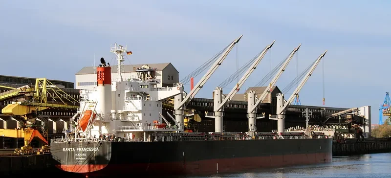 SANTA FRANCESCA Bulk Carrier IMO 9748124 photo 4