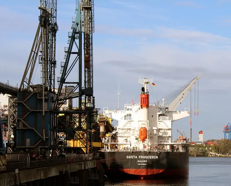 SANTA FRANCESCA Bulk Carrier IMO 9748124 photo 5