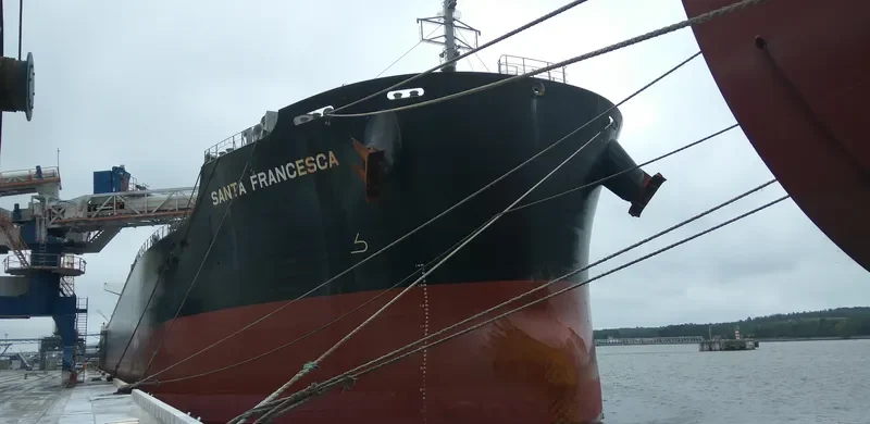 SANTA FRANCESCA Bulk Carrier IMO 9748124 photo 7