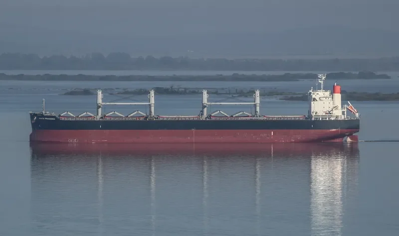 SANTA FRANCESCA Bulk Carrier IMO 9748124 photo 8