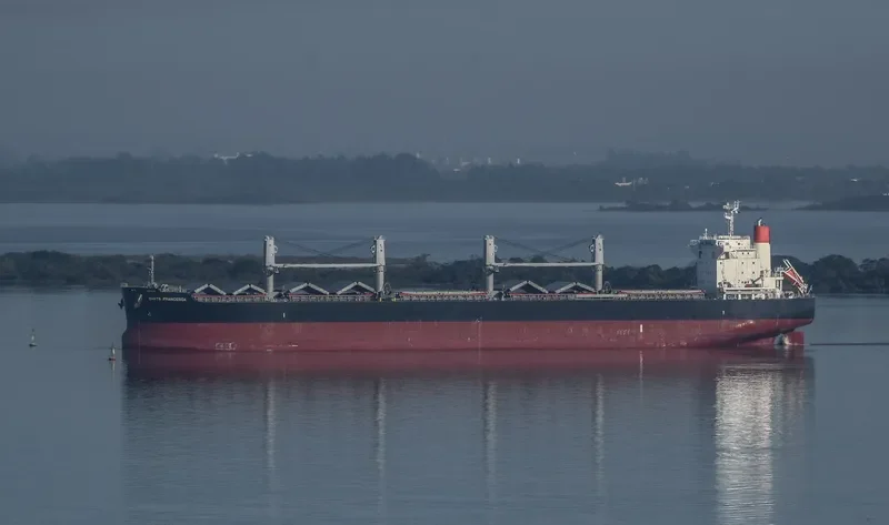 SANTA FRANCESCA Bulk Carrier IMO 9748124 photo 9