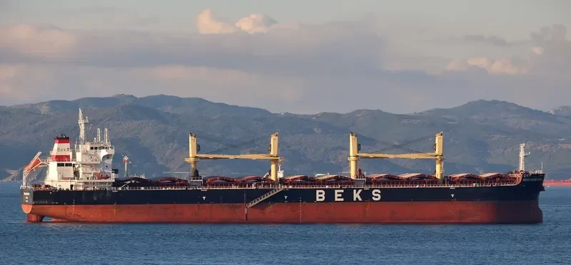 BEKS MUNEVVER Bulk Carrier IMO 9748241 photo 8