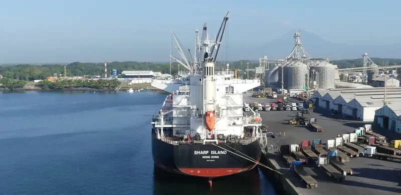 SHARP ISLAND Bulk Carrier IMO 9748370