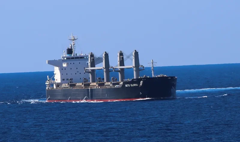 SHARP ISLAND Bulk Carrier IMO 9748370 photo 2